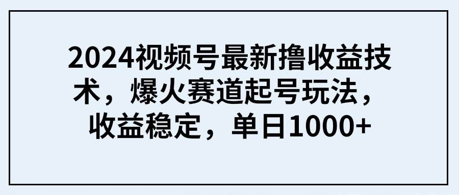 2024视频号最新撸收益技术，爆火赛道起号玩法，收益稳定，单日1000+-辰阳网创