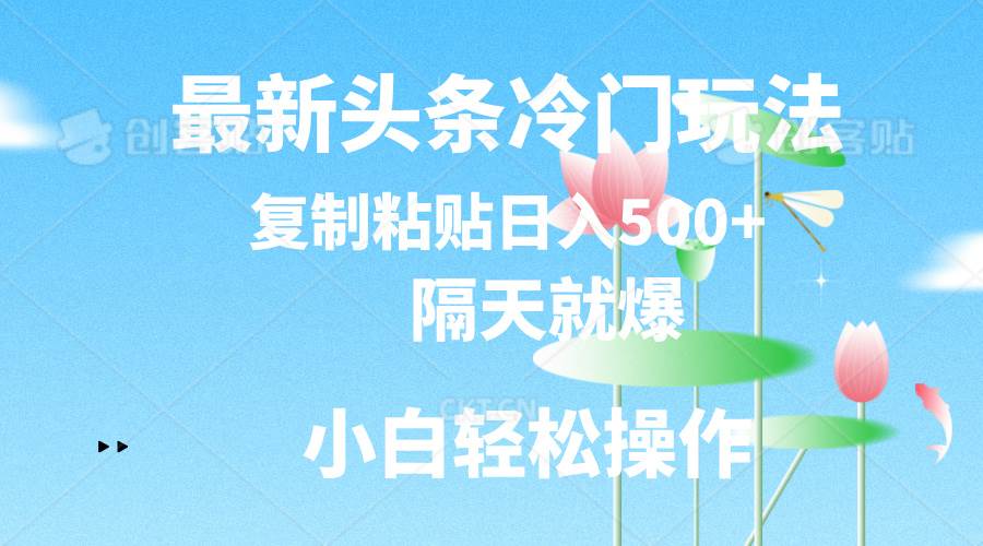 最新头条冷门玩法，隔天就爆，复制粘贴日入500+-辰阳网创