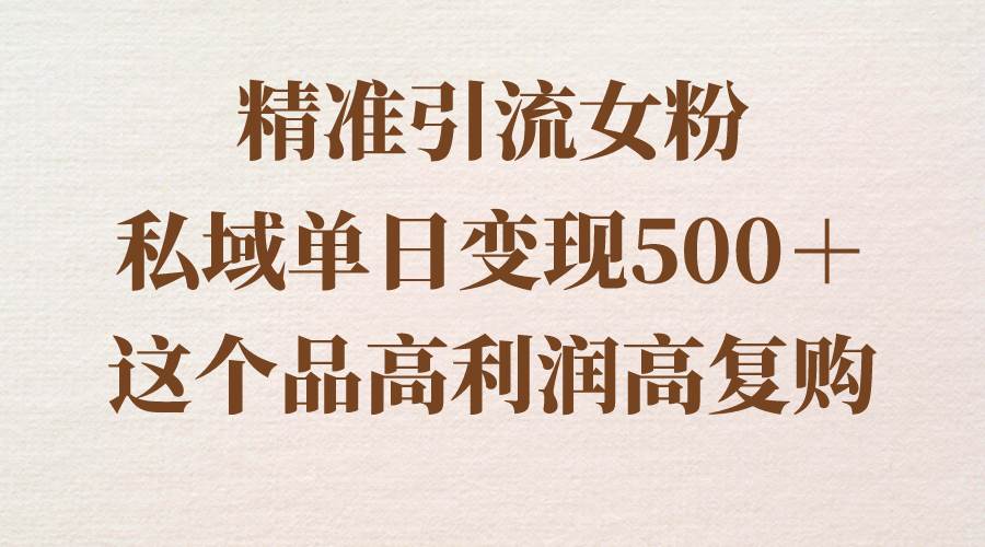 精准引流女粉，私域单日变现500＋，高利润高复购，保姆级实操教程分享-辰阳网创