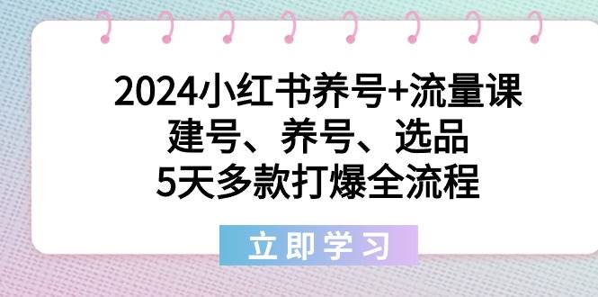 2024小红书养号+流量课：建号、养号、选品，5天多款打爆全流程-辰阳网创