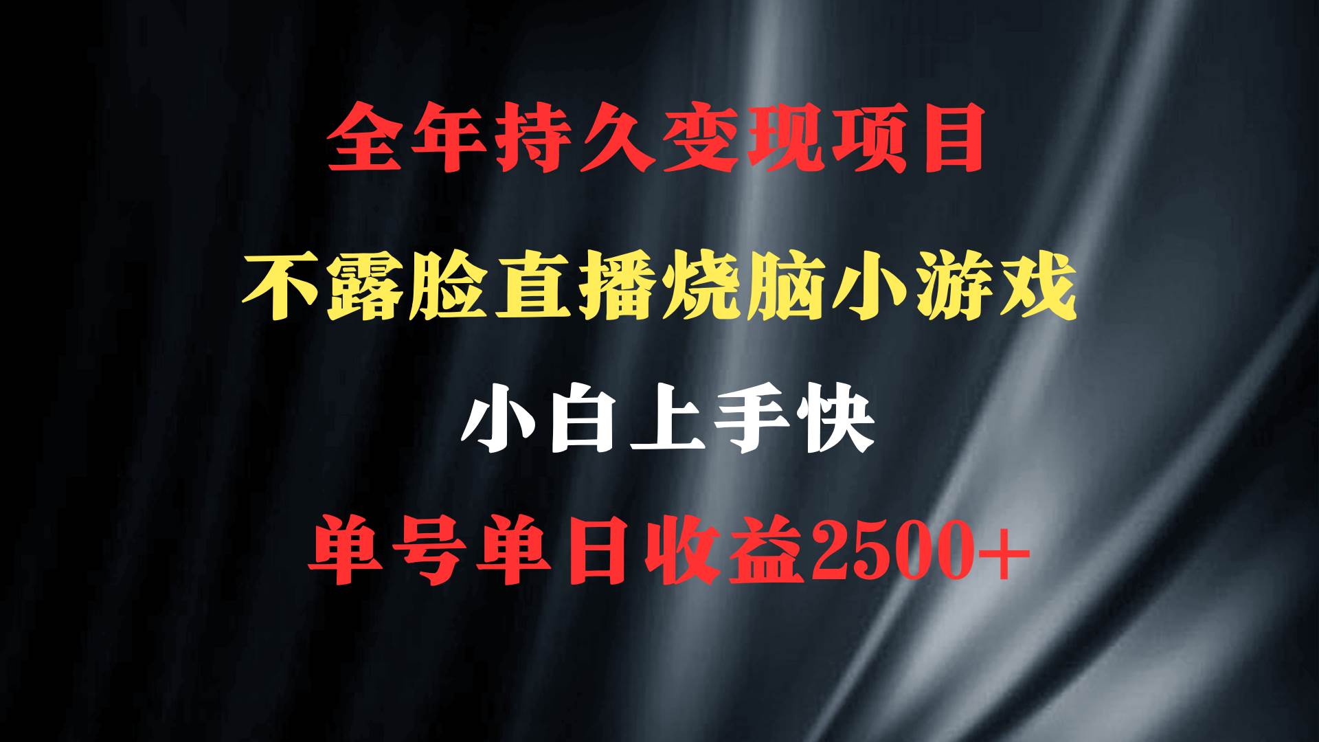 2024年 最优项目，烧脑小游戏不露脸直播  小白上手快 无门槛 一天收益2500+-辰阳网创