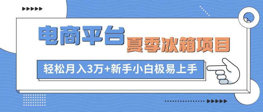 电商平台夏季冰箱项目，轻松月入3万+，新手小白极易上手-辰阳网创