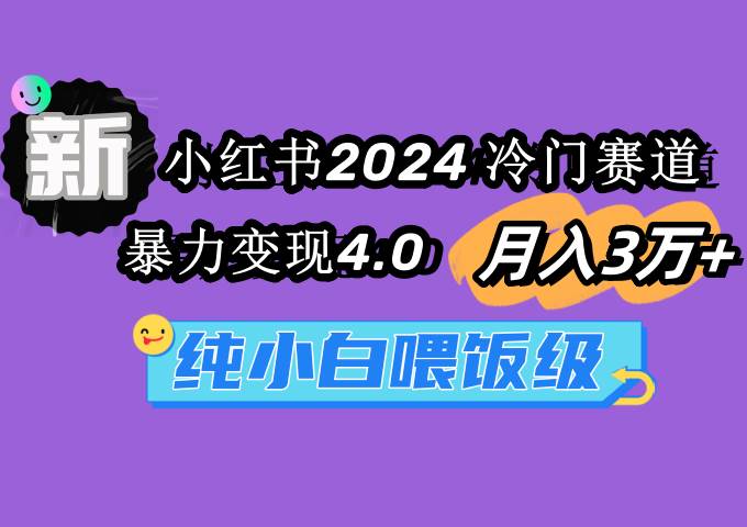 小红书2024冷门赛道 月入3万+ 暴力变现4.0 纯小白喂饭级-辰阳网创