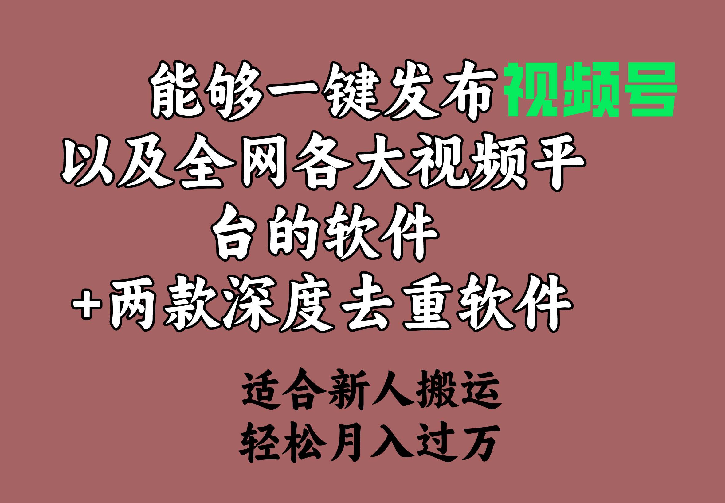 能够一键发布视频号以及全网各大视频平台的软件+两款深度去重软件 适合…-辰阳网创