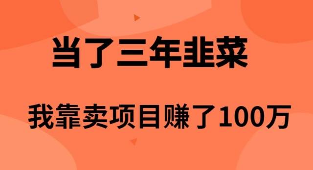 当了3年韭菜，我靠卖项目赚了100万-辰阳网创