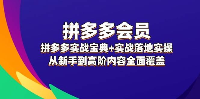 拼多多 会员，拼多多实战宝典+实战落地实操，从新手到高阶内容全面覆盖-辰阳网创