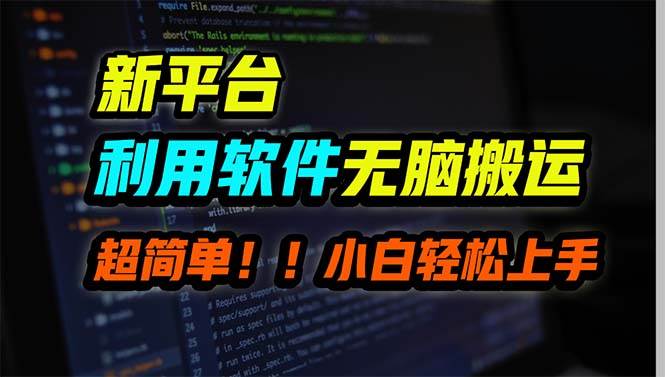 新平台用软件无脑搬运，月赚10000+，小白也能轻松上手-辰阳网创