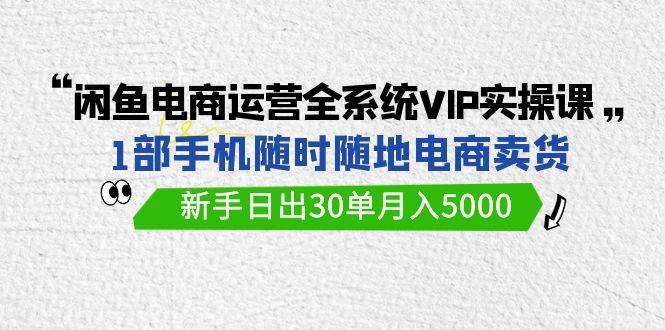 闲鱼电商运营全系统VIP实战课，1部手机随时随地卖货，新手日出30单月入5000-辰阳网创