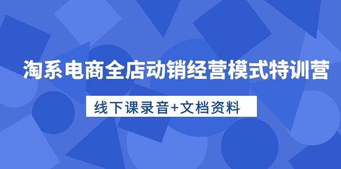 淘系电商全店动销经营模式特训营，线下课录音+文档资料-辰阳网创