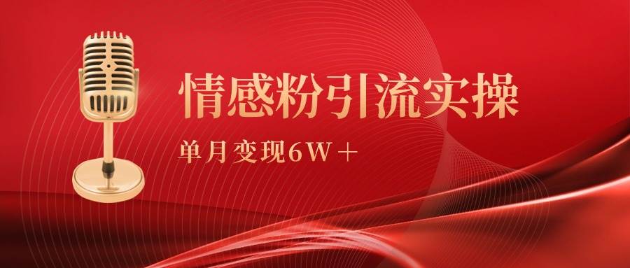 单月变现6w+，情感粉引流变现实操课-辰阳网创