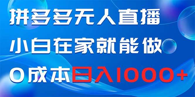 拼多多无人直播，小白在家就能做，0成本日入1000+-辰阳网创