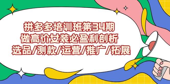 拼多多培训班第34期：做高价女装必盈利剖析  选品/测款/运营/推广/拓展-辰阳网创