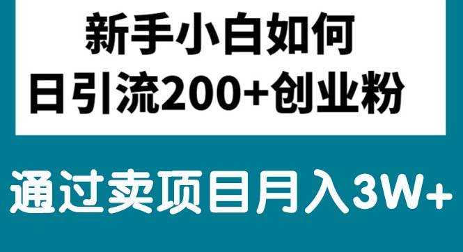 新手小白日引流200+创业粉,通过卖项目月入3W+-辰阳网创