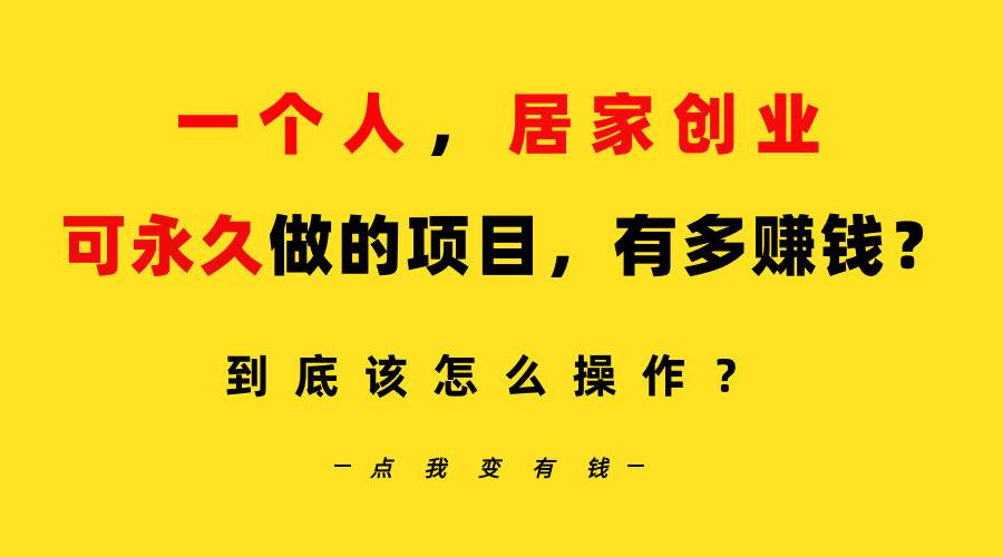 一个人，居家创业：B站每天10分钟，单账号日引创业粉100+，月稳定变现5W…-辰阳网创