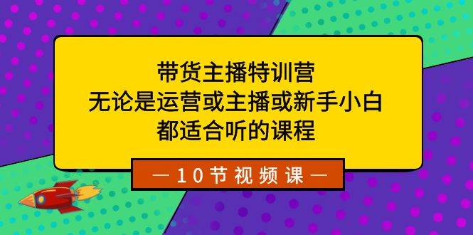 带货主播特训营：无论是运营或主播或新手小白，都适合听的课程-辰阳网创