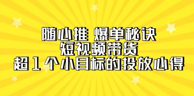 随心推 爆单秘诀，短视频带货-超1个小目标的投放心得（7节视频课）-辰阳网创