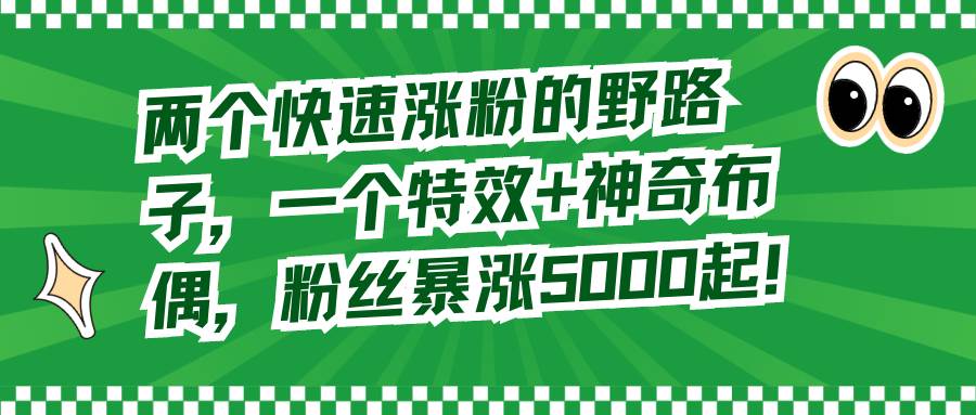 两个快速涨粉的野路子，一个特效+神奇布偶，粉丝暴涨5000起！-辰阳网创