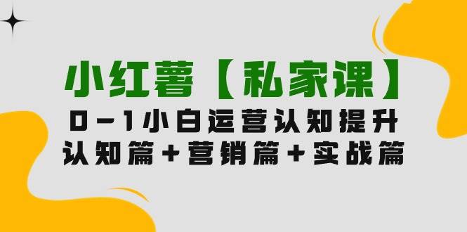 小红薯【私家课】0-1玩赚小红书内容营销，认知篇+营销篇+实战篇（11节课）-辰阳网创