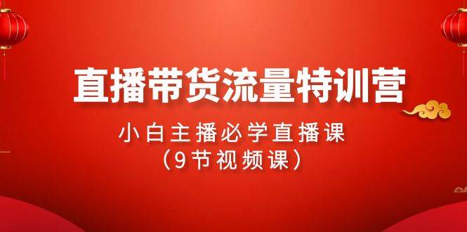 2024直播带货流量特训营，小白主播必学直播课（9节视频课）-辰阳网创