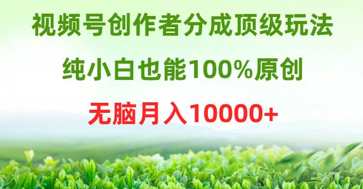 视频号创作者分成顶级玩法，纯小白也能100%原创，无脑月入10000+-辰阳网创