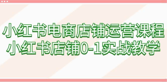 小红书电商店铺运营课程，小红书店铺0-1实战教学（60节课）-辰阳网创