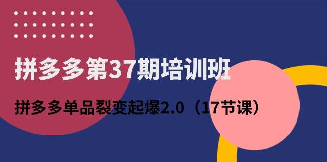 拼多多第37期培训班：拼多多单品裂变起爆2.0（17节课）-辰阳网创