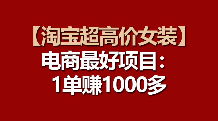 【淘宝超高价女装】电商最好项目：一单赚1000多-辰阳网创