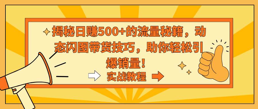 揭秘日赚500+的流量秘籍，动态闪图带货技巧，助你轻松引爆销量！-辰阳网创