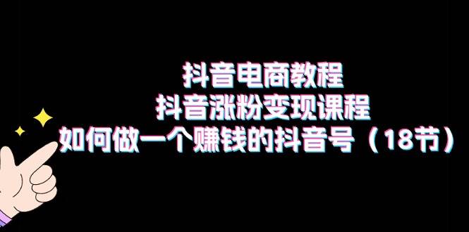 抖音电商教程：抖音涨粉变现课程：如何做一个赚钱的抖音号（18节）-辰阳网创