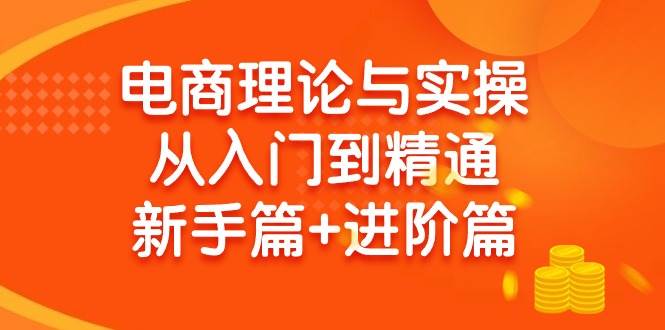 电商理论与实操从入门到精通 新手篇+进阶篇-辰阳网创