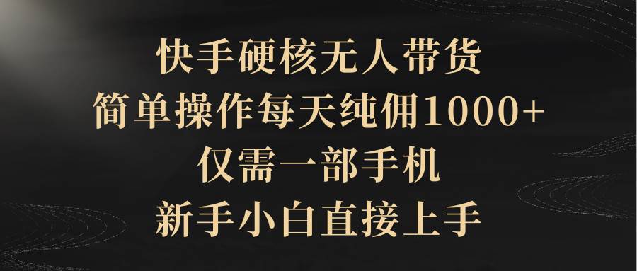 快手硬核无人带货，简单操作每天纯佣1000+,仅需一部手机，新手小白直接上手-辰阳网创