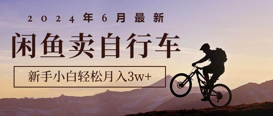 2024年6月最新闲鱼卖自行车，新手小白轻松月入3w+项目-辰阳网创