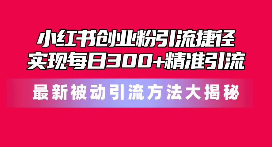 小红书创业粉引流捷径！最新被动引流方法大揭秘，实现每日300+精准引流-辰阳网创