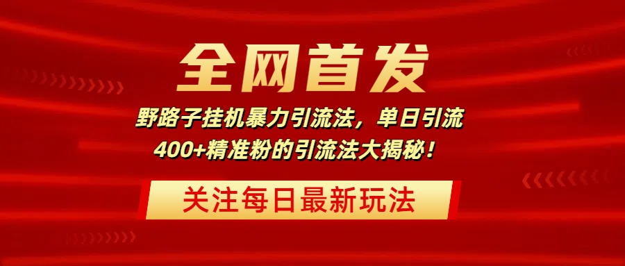 全网首发，野路子挂机暴力引流法，单日引流400+精准粉的引流法大揭秘！-辰阳网创