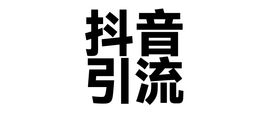 2025年抖音最新暴力引流法，只需一个视频加一段文字，简单操作，单日引300+创业粉-辰阳网创