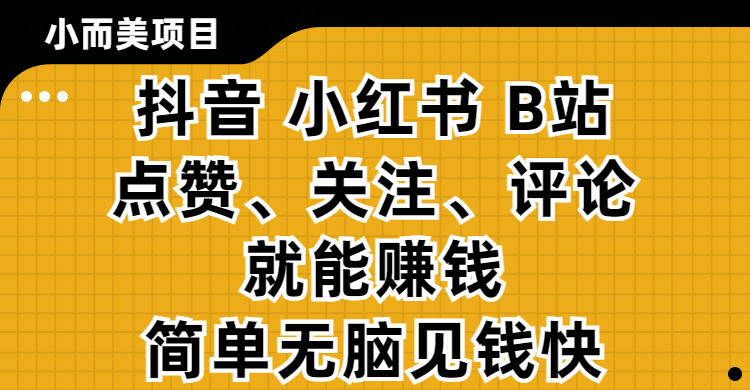 小而美的项目，抖音、小红书、B站视频点赞、关注、评论就能赚钱，简单无脑立见收益！妥妥的零撸项目-辰阳网创